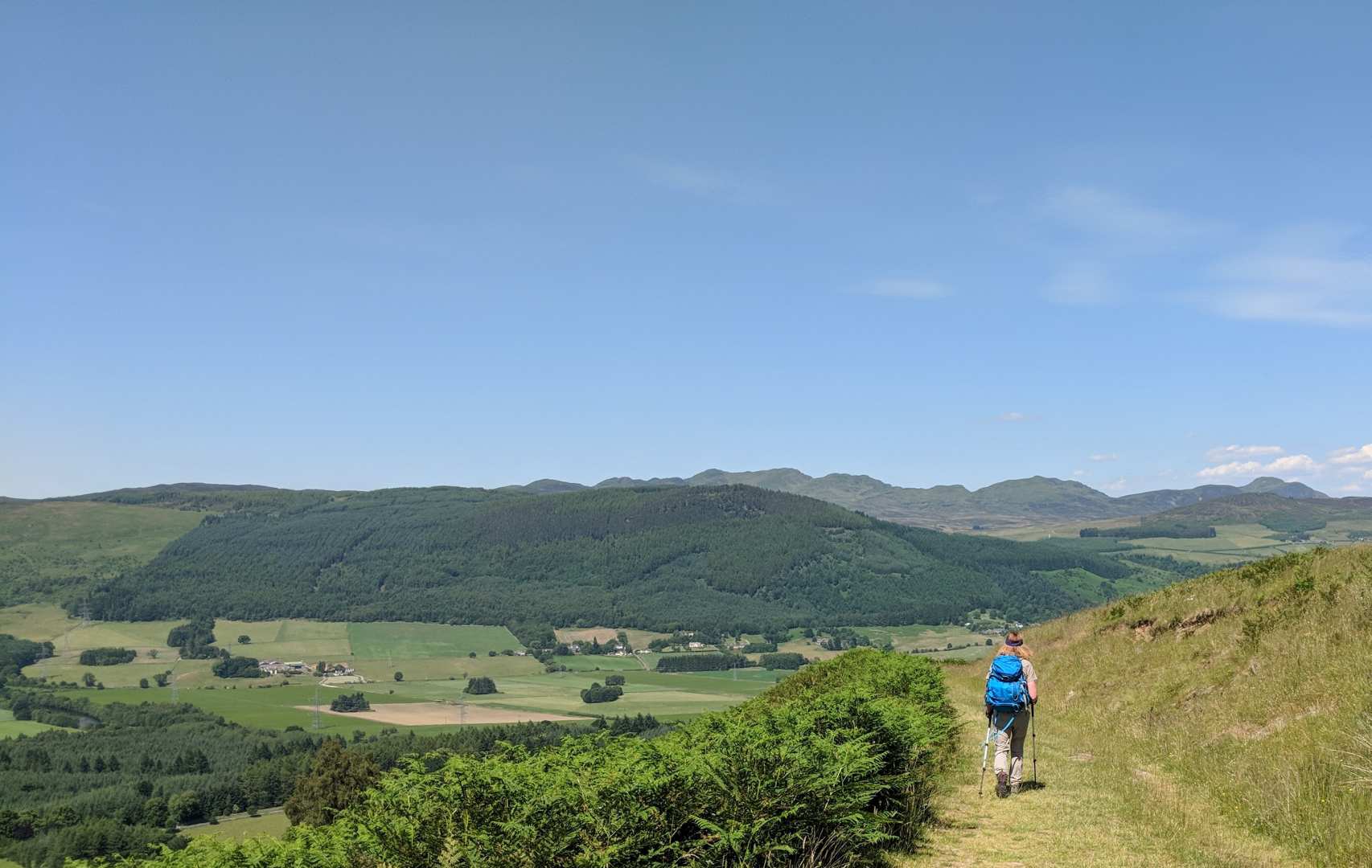 A walker strolls ahead between ferns on a Rob Roy Way walking holiday